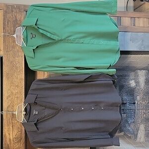 EUC - TWO Ann Taylor Blouses - Petite Small